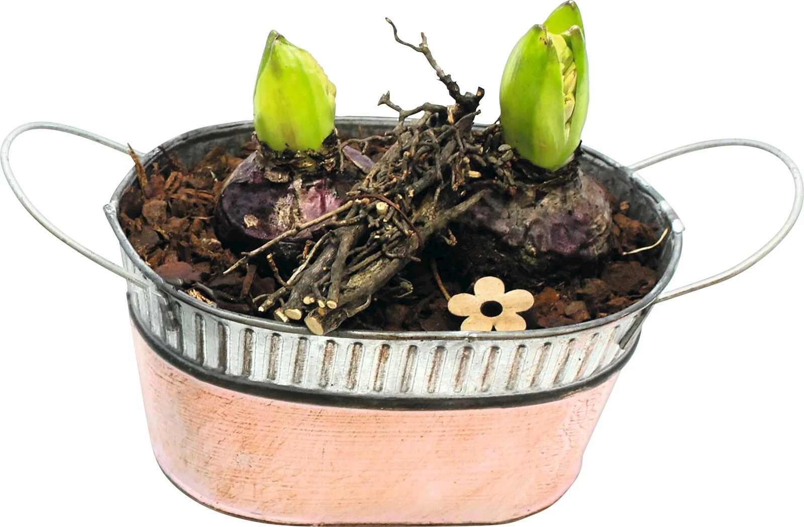 Schale zink oval bepfl.P23x12 cm