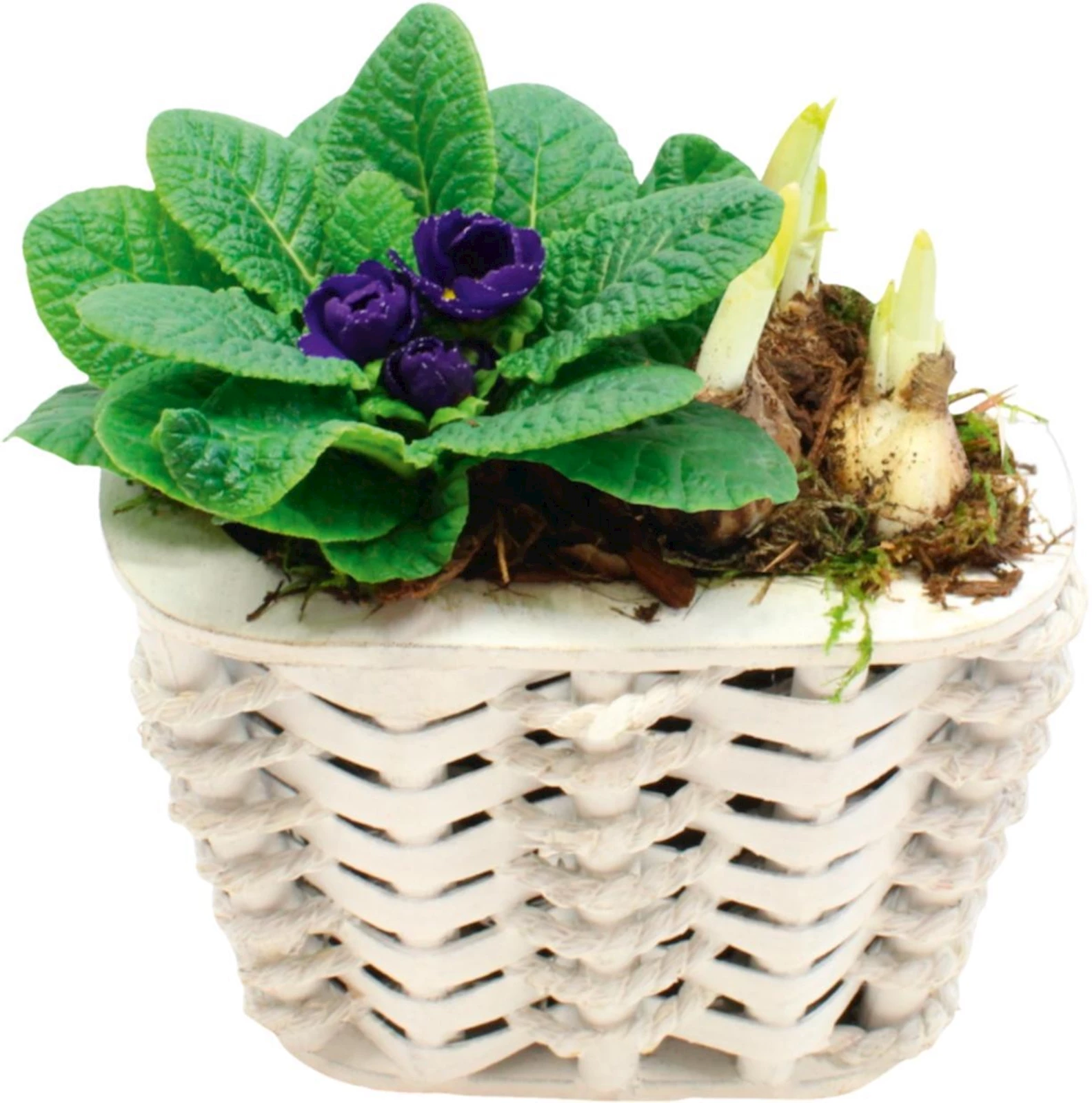 Panier en roseau avec bordure en bois pl