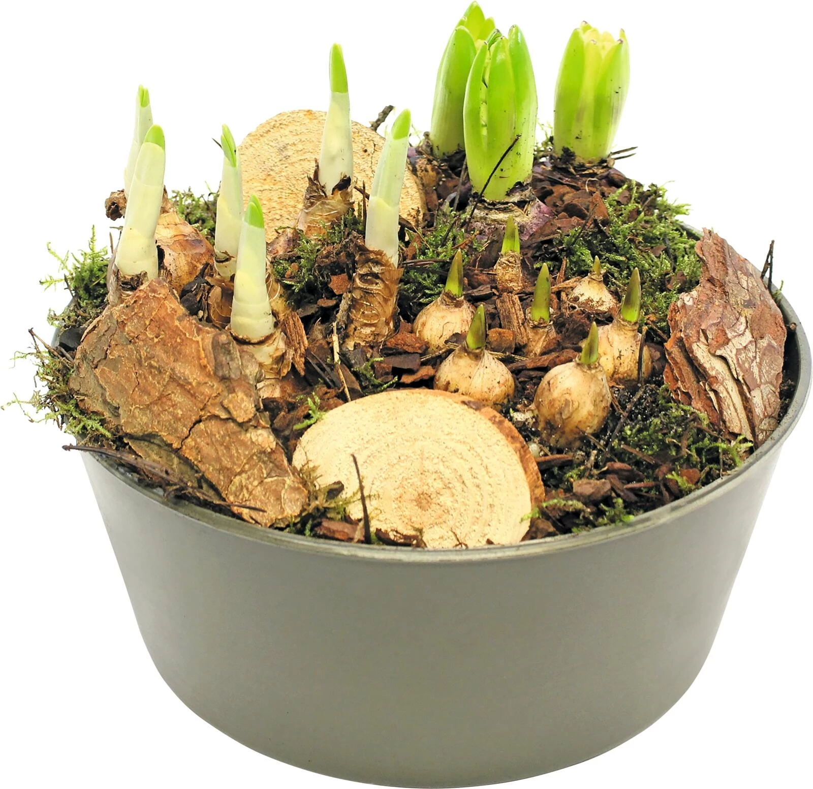 Schale grün bepfl. P23 cm