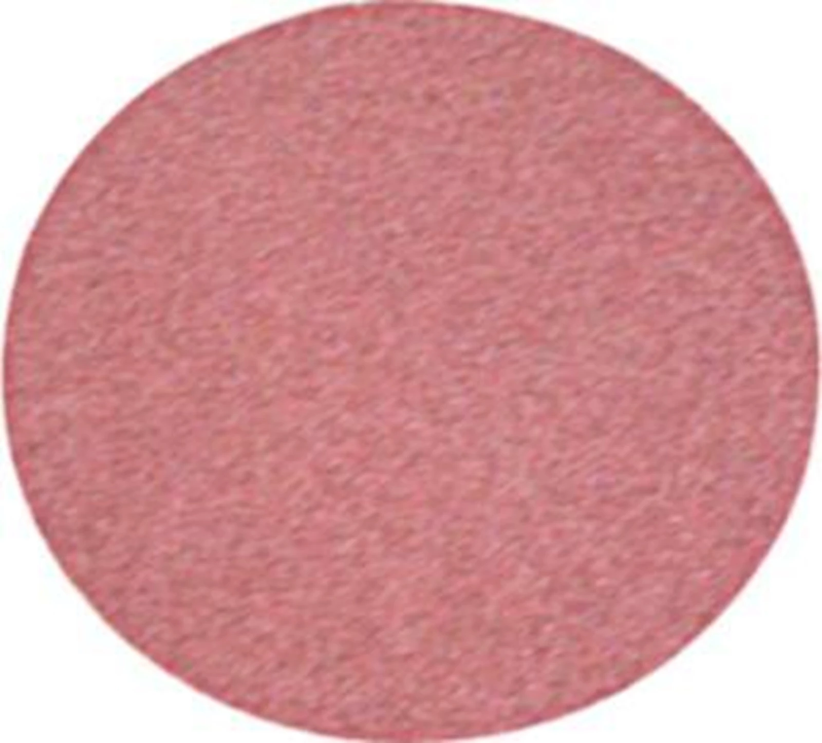 Ersatzscheibe Tellerschleifer 100 Körnun