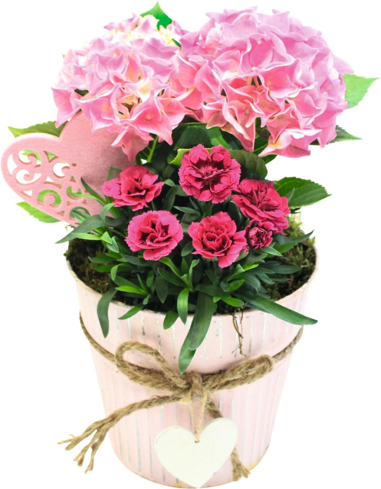 Eimer mit Herz bepfl. P17 cm