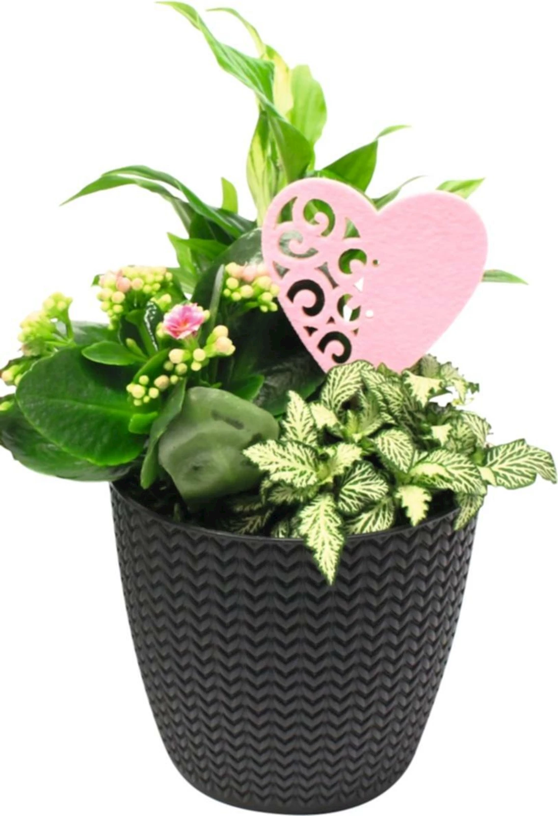 Arrangement mit Herz bepfl. P16 cm