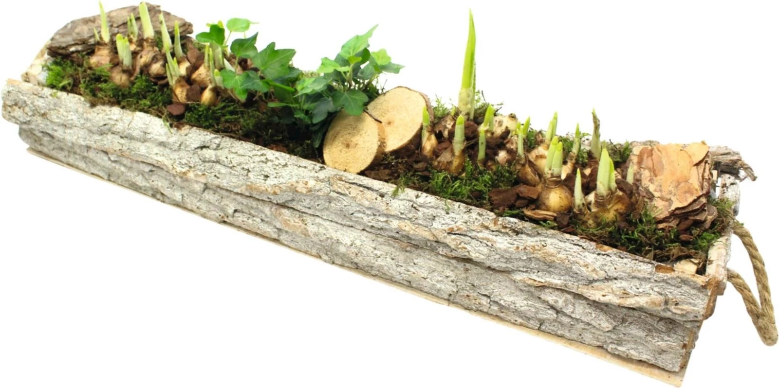 Holzrechteck bepfl. P58x15 cm