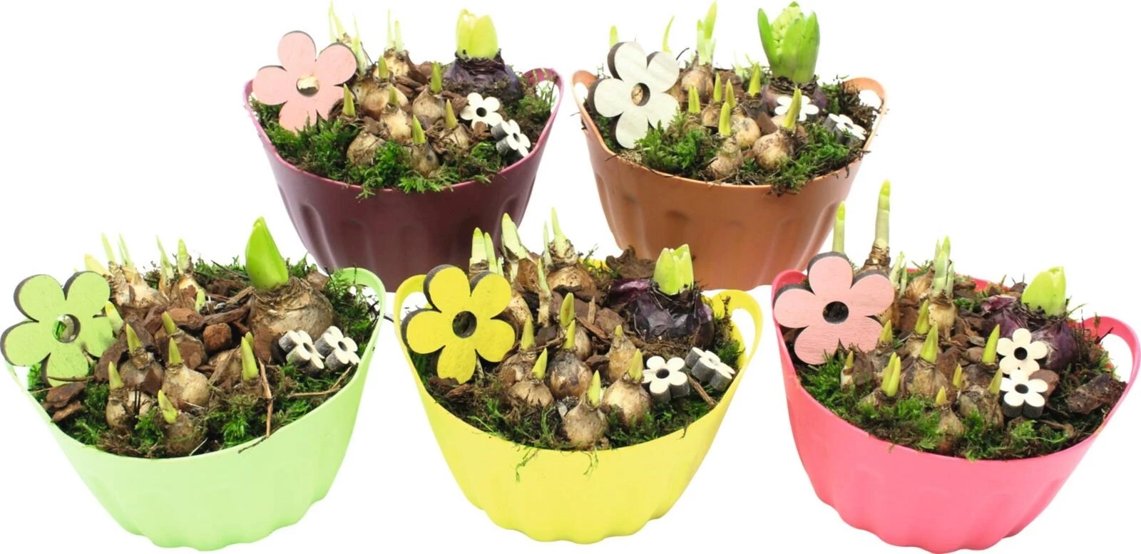 Kunststoffschale bepfl.P17 cm