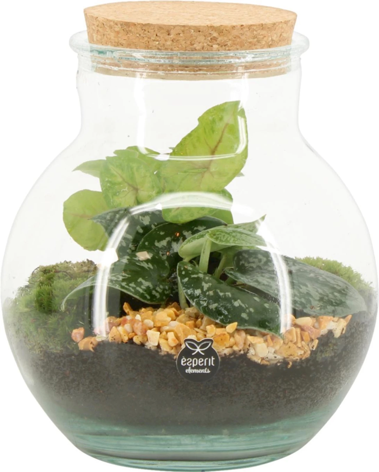 Indoor Mini Garten P20 cm