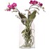 Phalaenopsis en verre 2 t. P12 cm