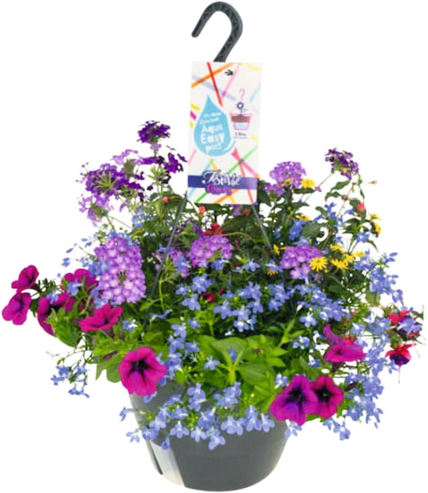 Sommerflor Ampel Magic P27 cm