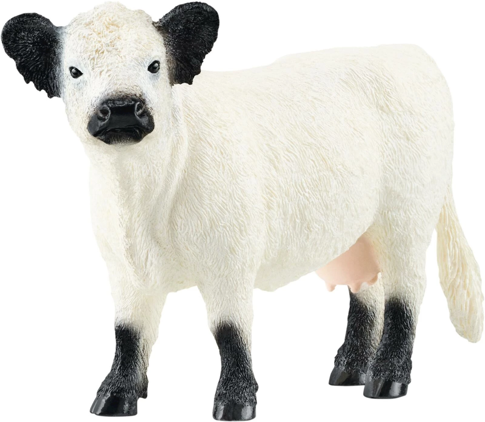 Galloway Rind Schleich