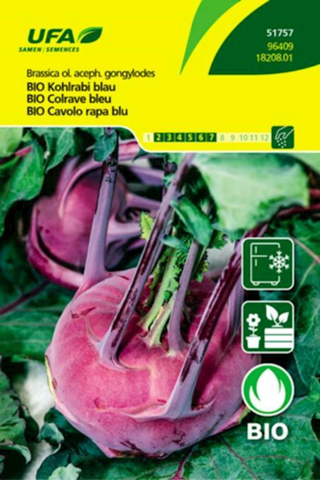 Kohlrabi blau BIO-K UFA