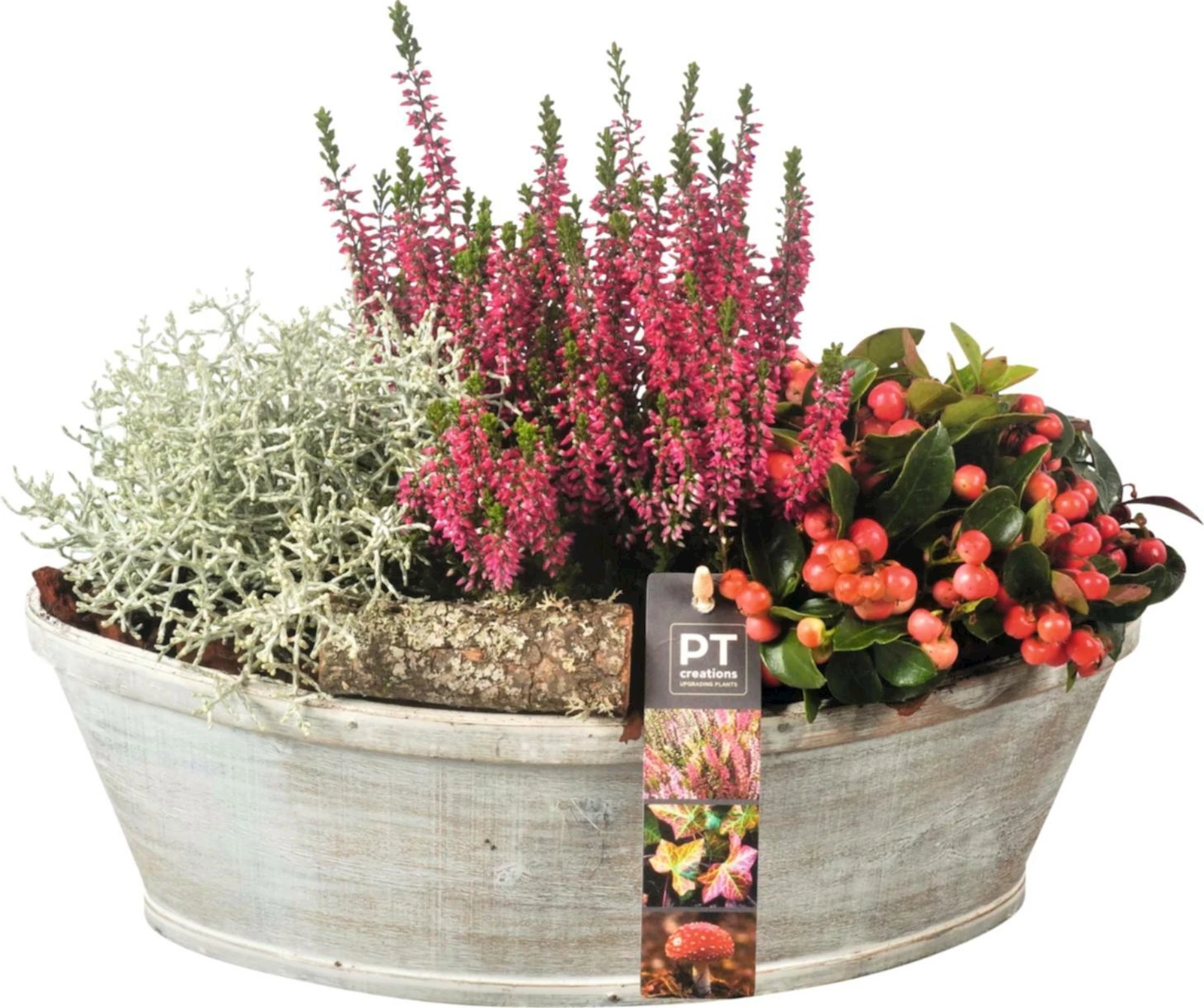 Holzschiff bepfl. P33 cm