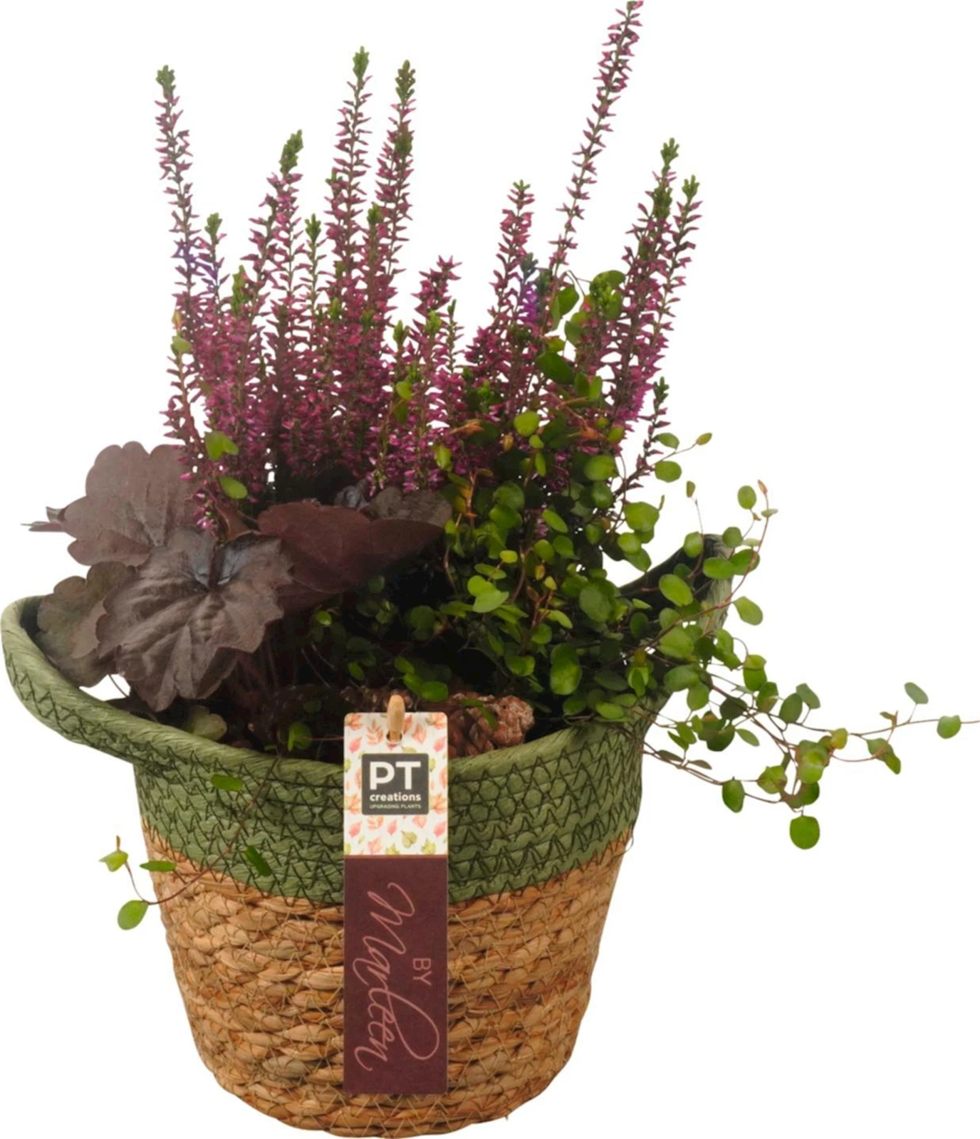 Schilfkorb bepfl. rund P18 cm