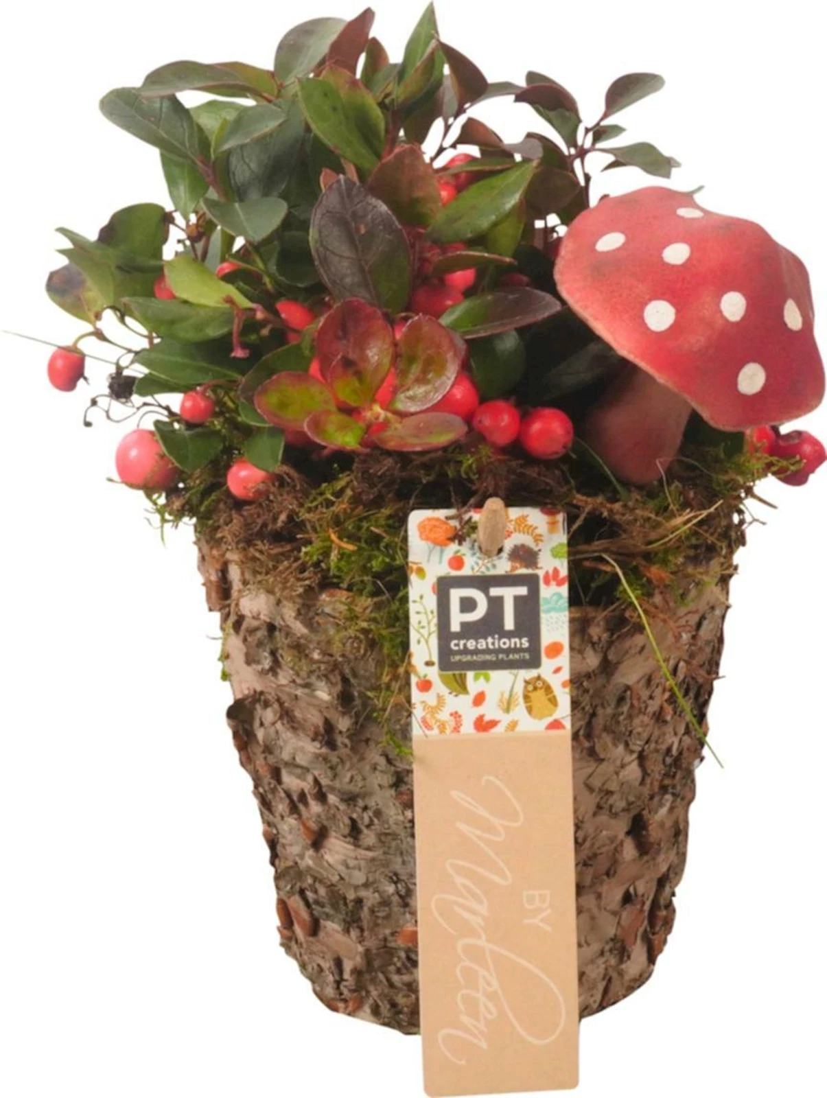 Holztopf bepfl. r. P11 cm