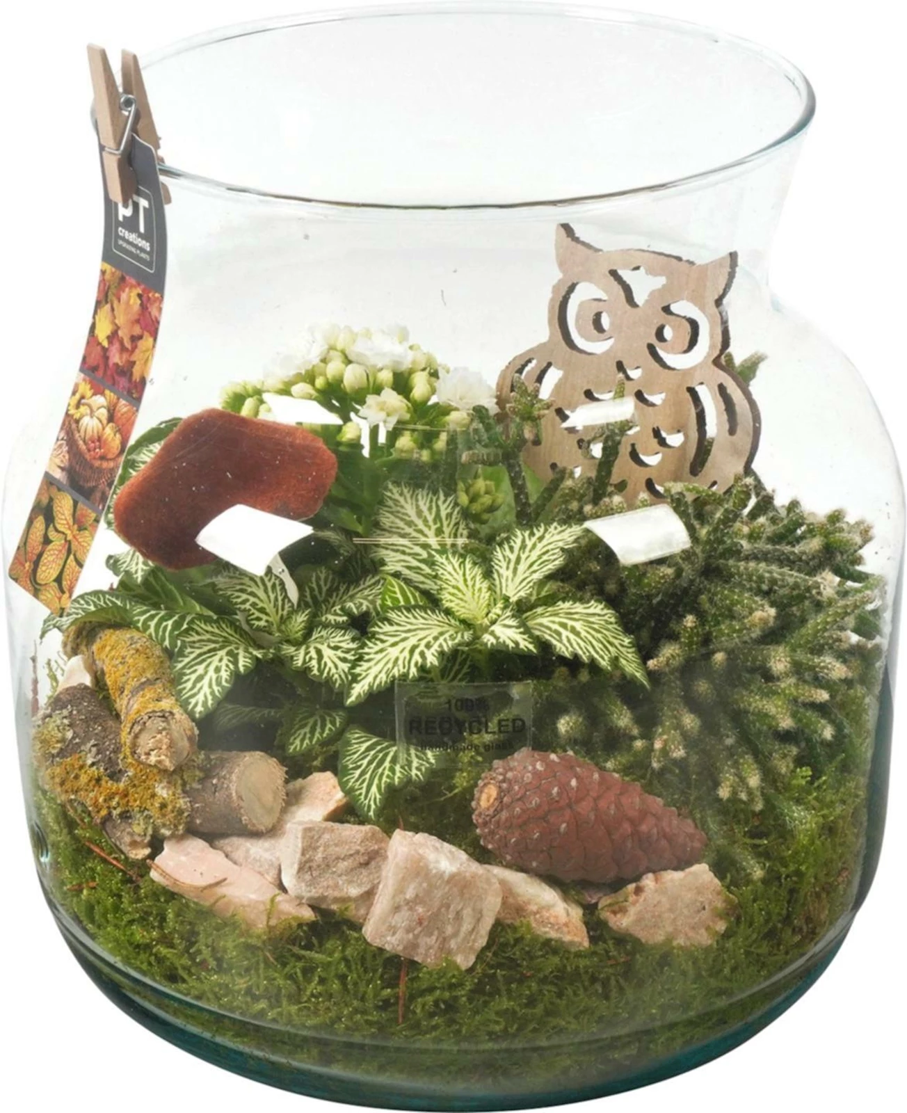 Glas rund bepfl. P23 cm