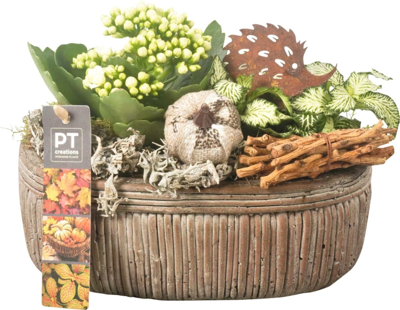 Betontopf Oval bepfl. P20 cm