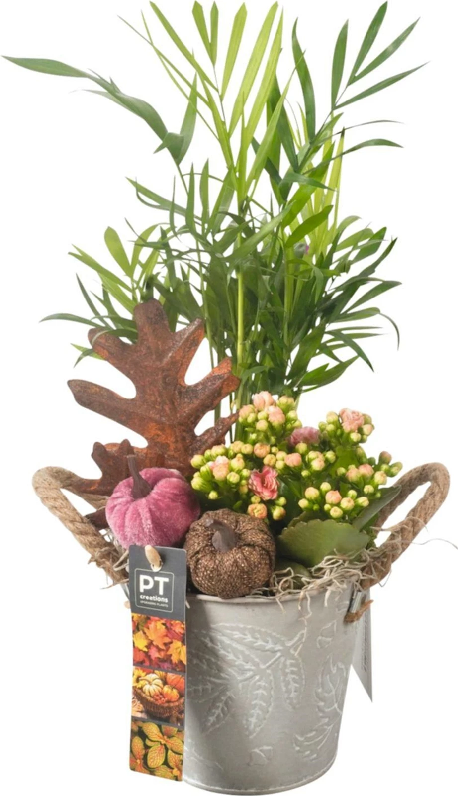 Metallkorb bepflanzt P12 cm