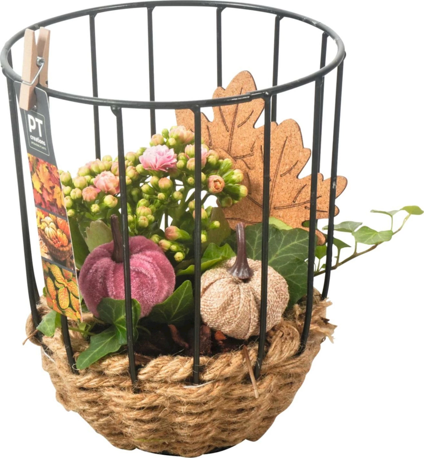 Seilgefäss Rund bepfl. P16 cm