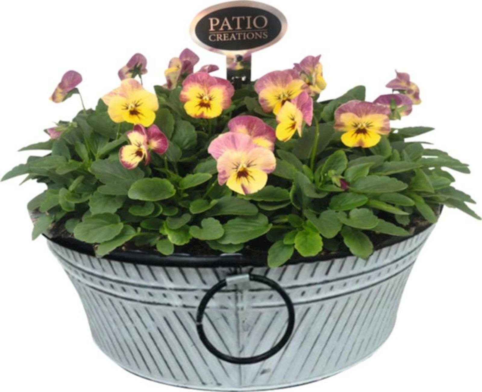 Zinkschale bepfl. P28 cm