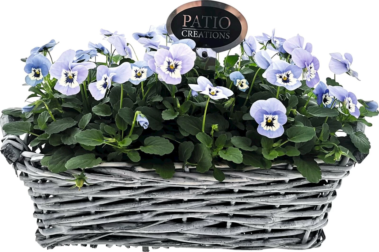 Henkelkorb bepfl. P32x14 cm