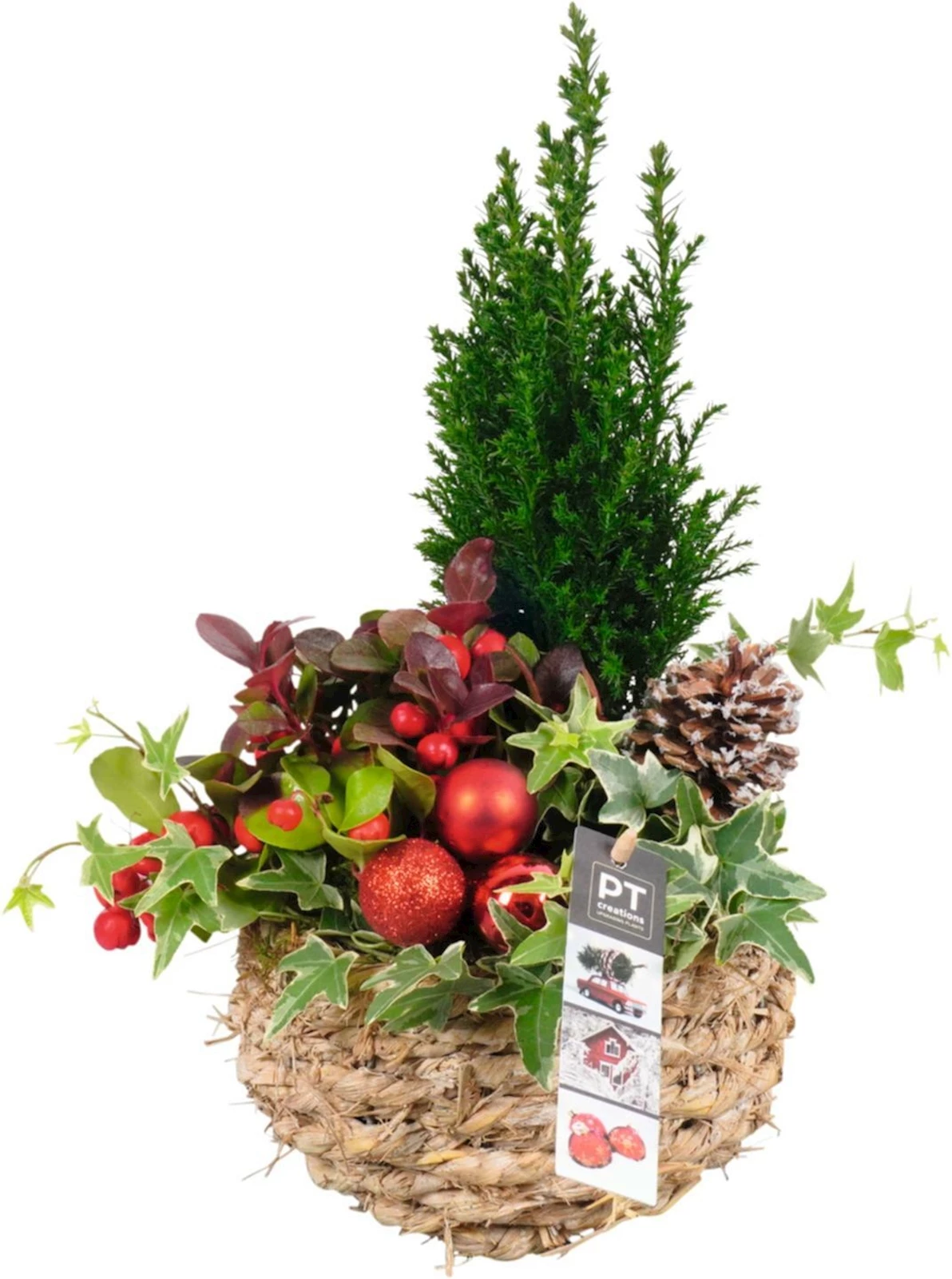 Korb rund bepfl. P16 cm