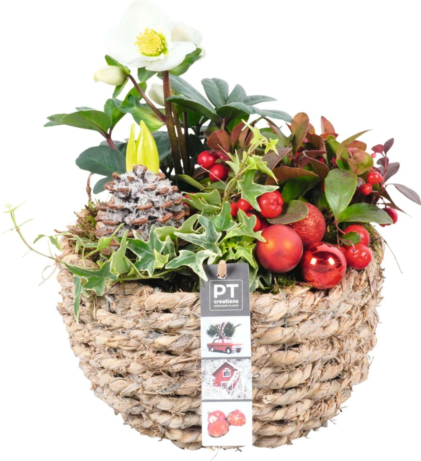 Korb rund bepfl. P21 cm