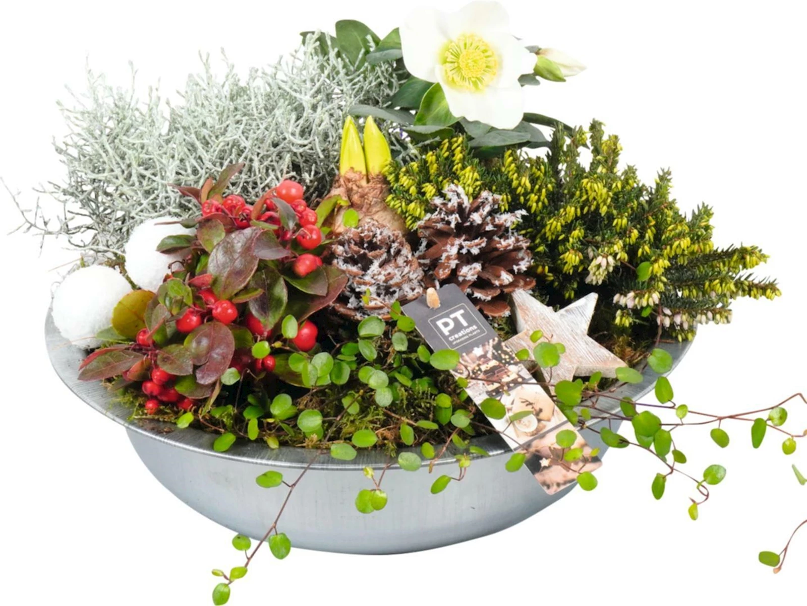 Metallschale bepflanzt  rund P33 cm