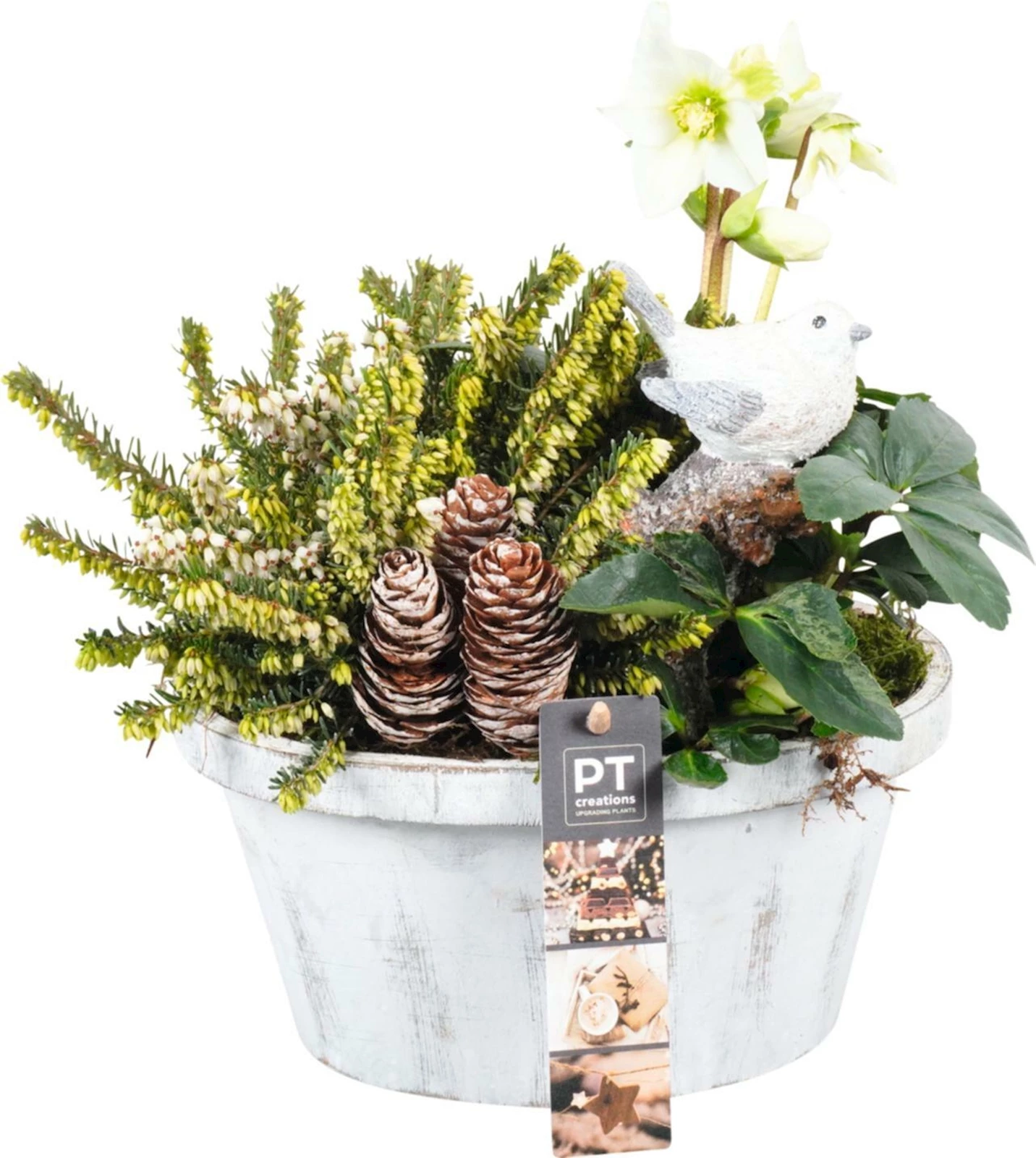 Korb Holz bepfl. oval P20 cm