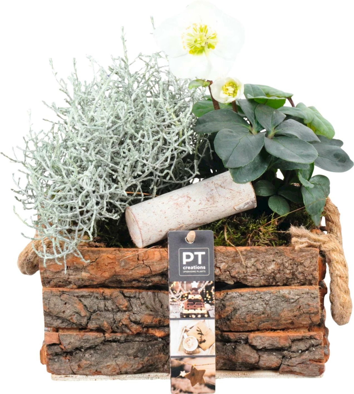 Poignée rectangulaire plant. P20 cm