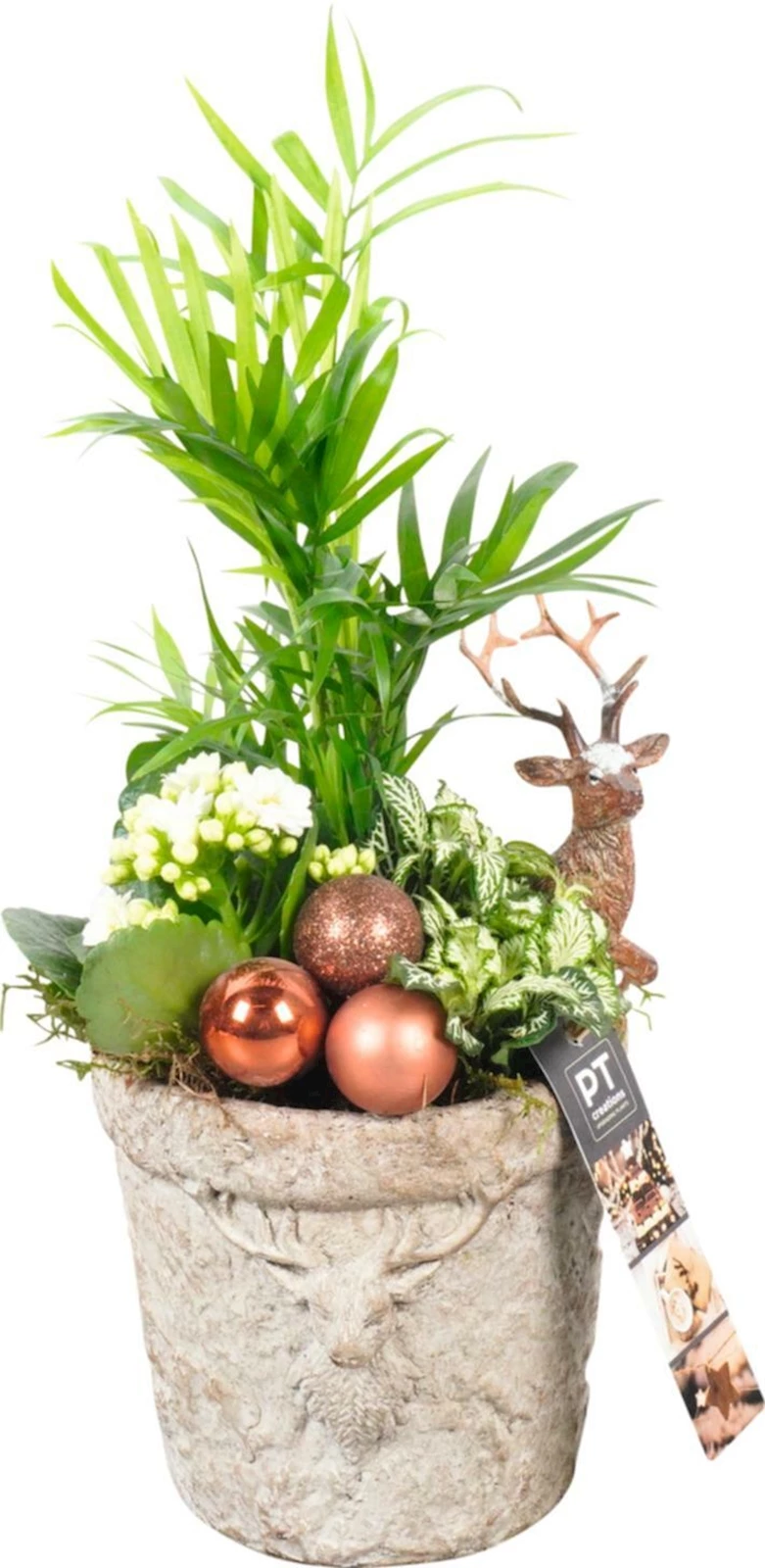 Pot en beton Cerf plant. rond P14 cm