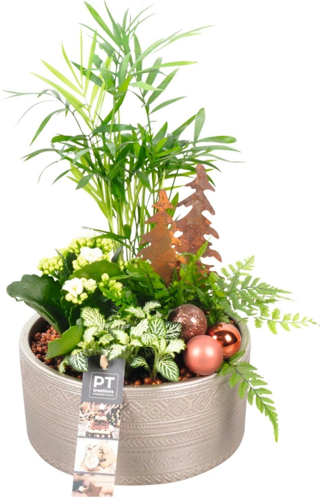 Pot céramique rond planté P19 cm
