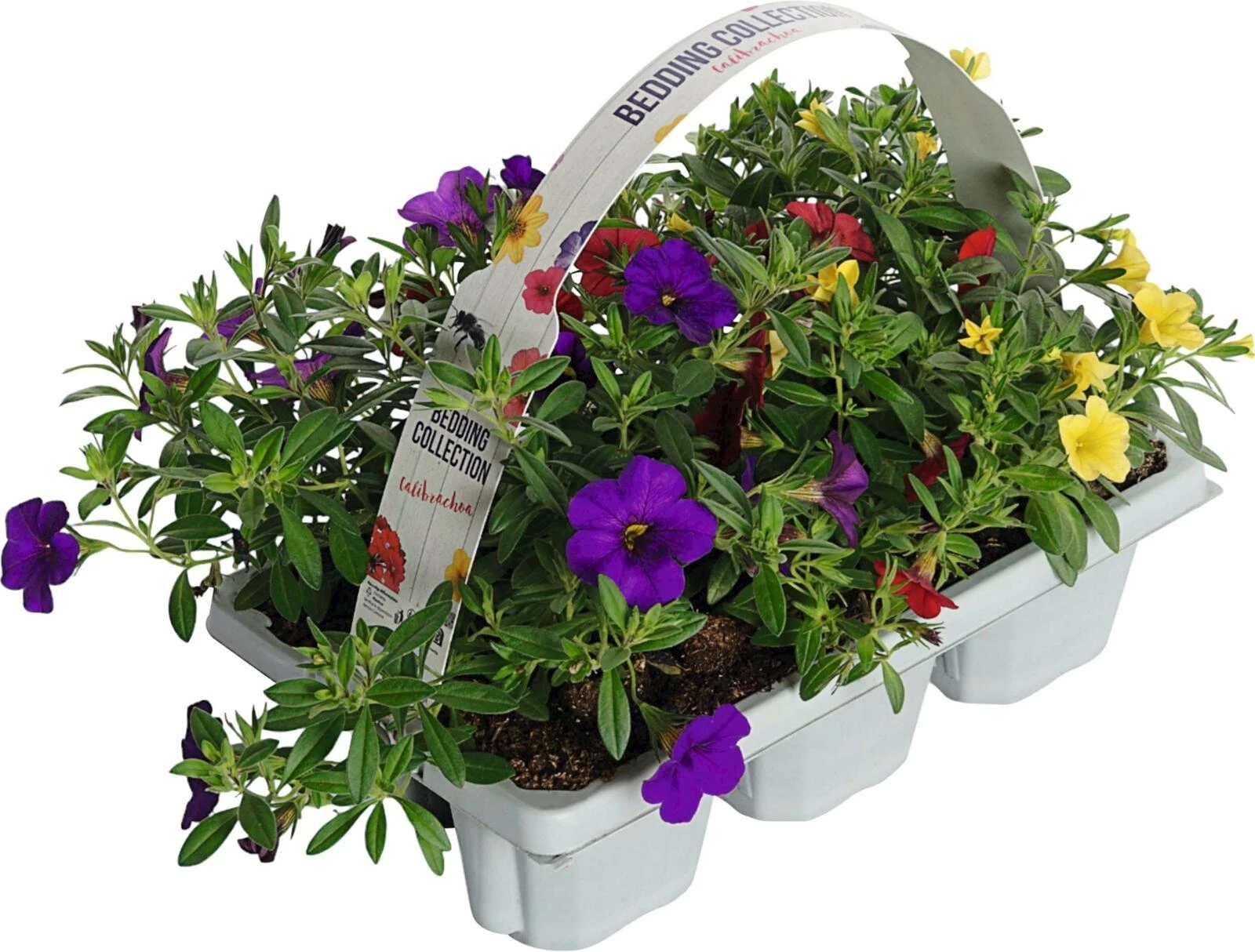 Sommerflor 6er Bedding Collection