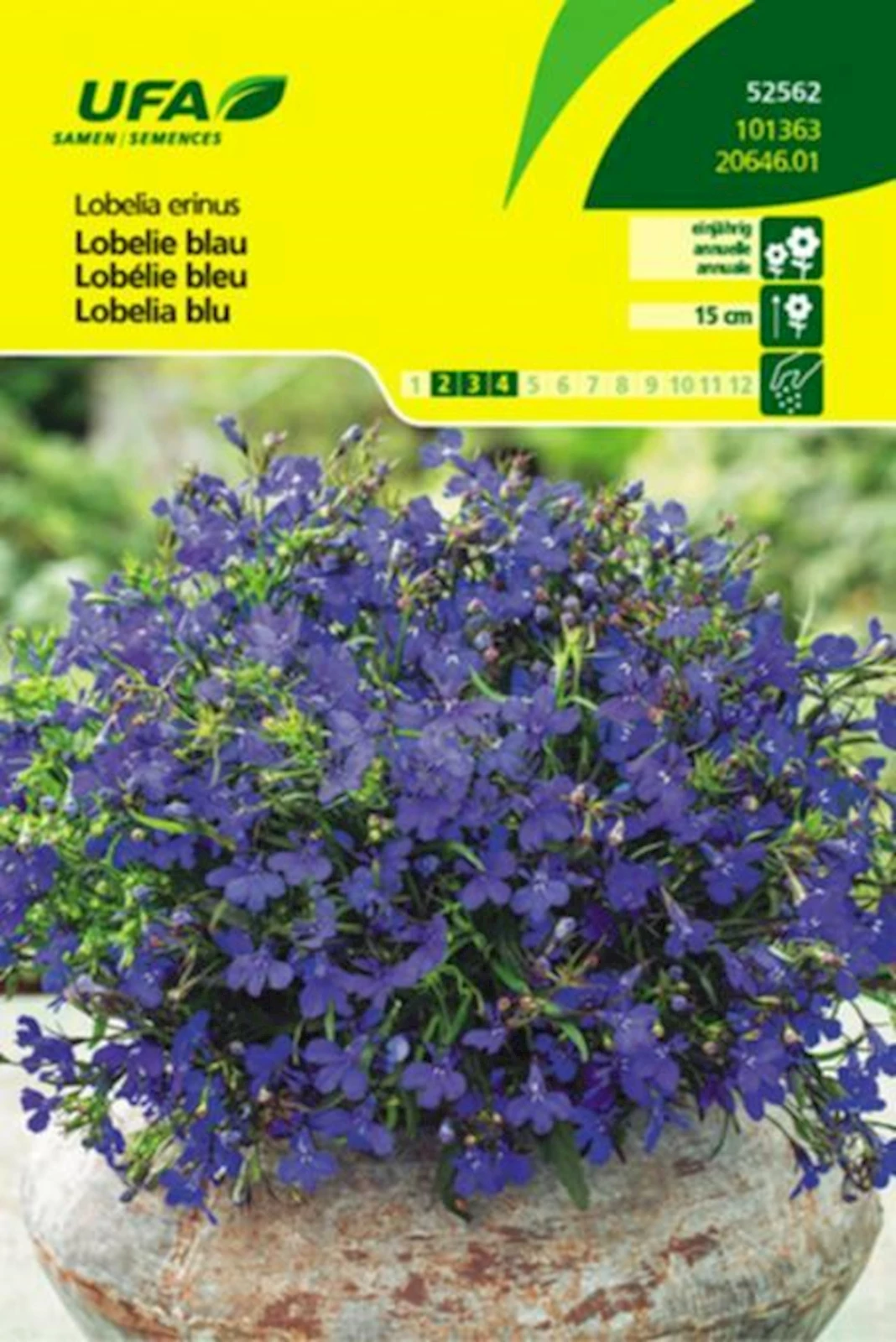 Lobelie blau UFA