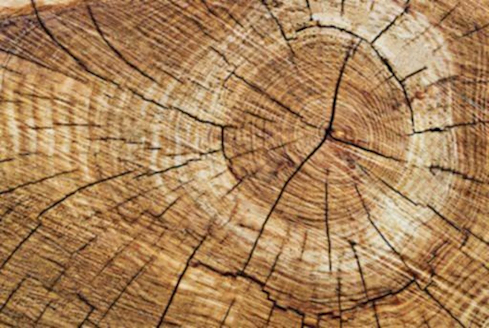 Paillasson print bois foncé