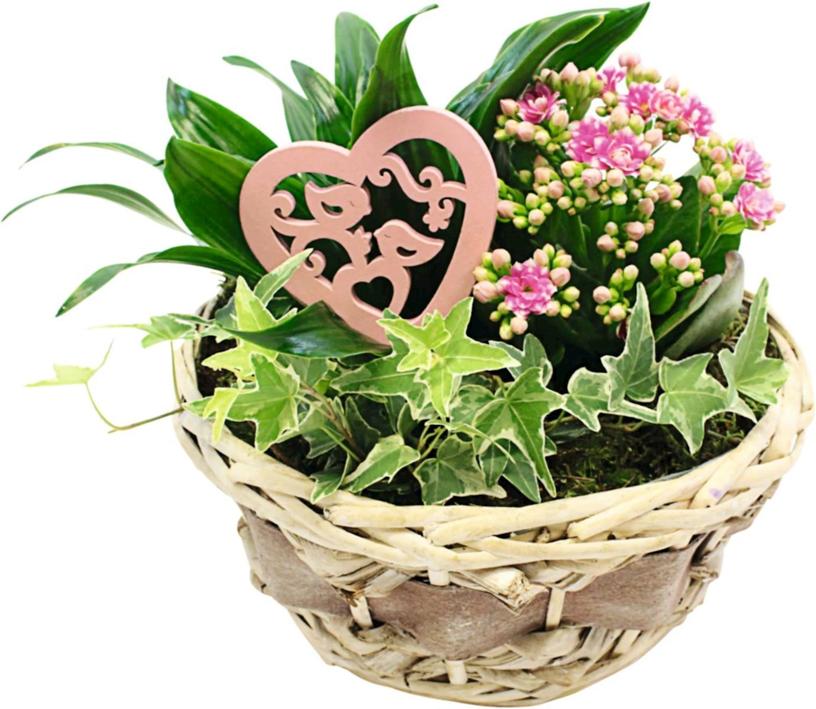 Korb rund bepfl. P21 cm