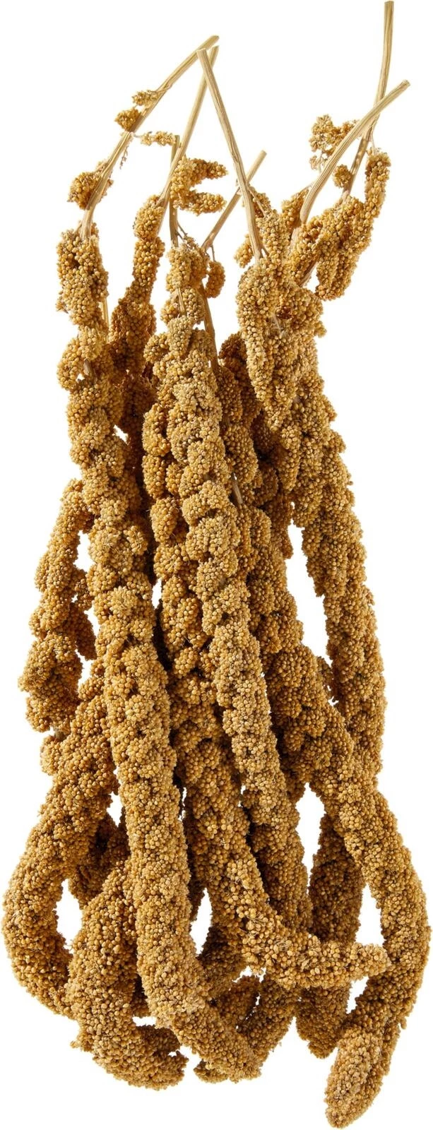 Kolbenhirse Vita-Balance gelb