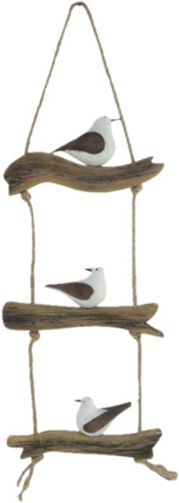 Mouettes sur échelle de corde