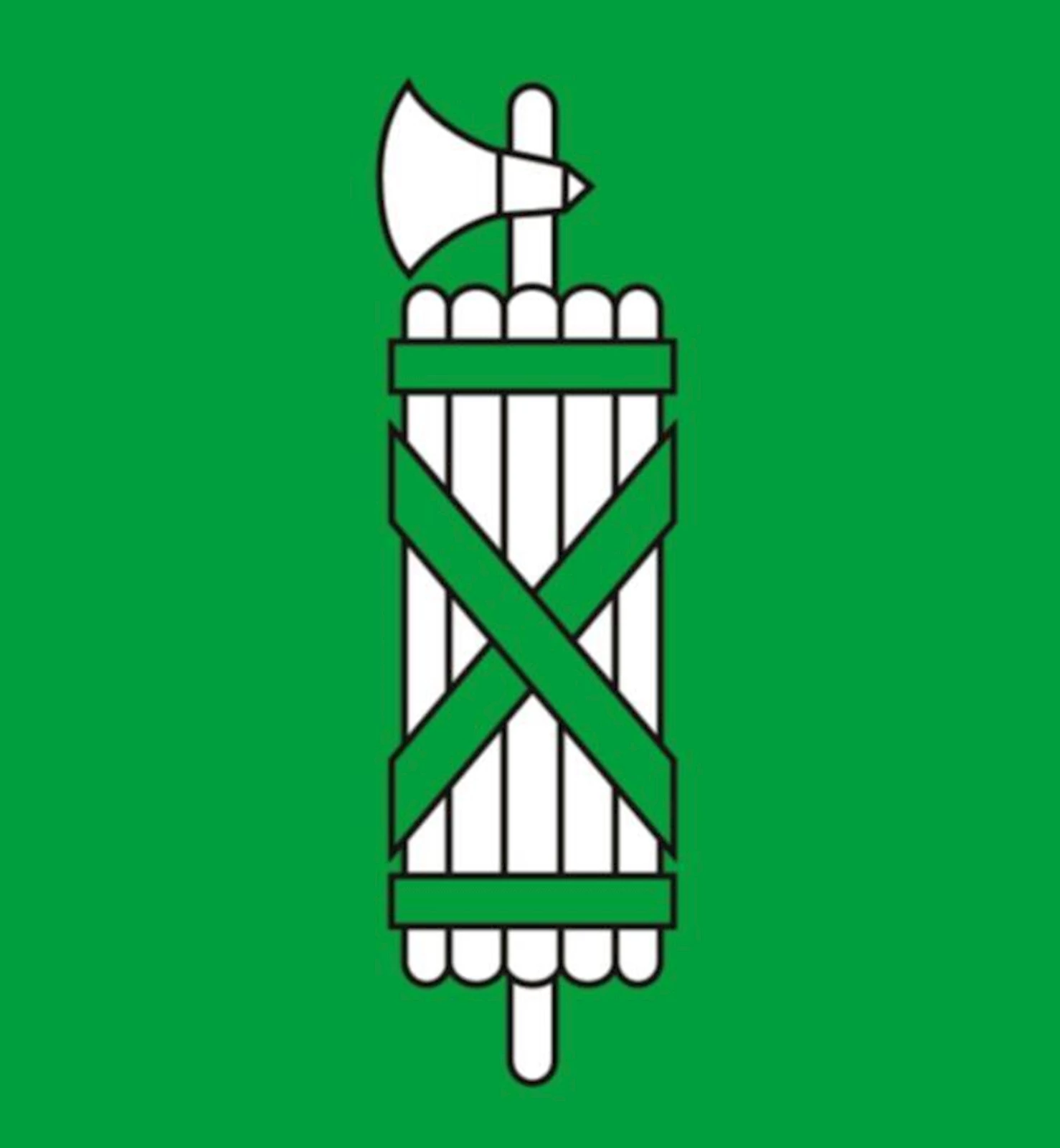 Drapeau St. Gallen 150×150 cm
