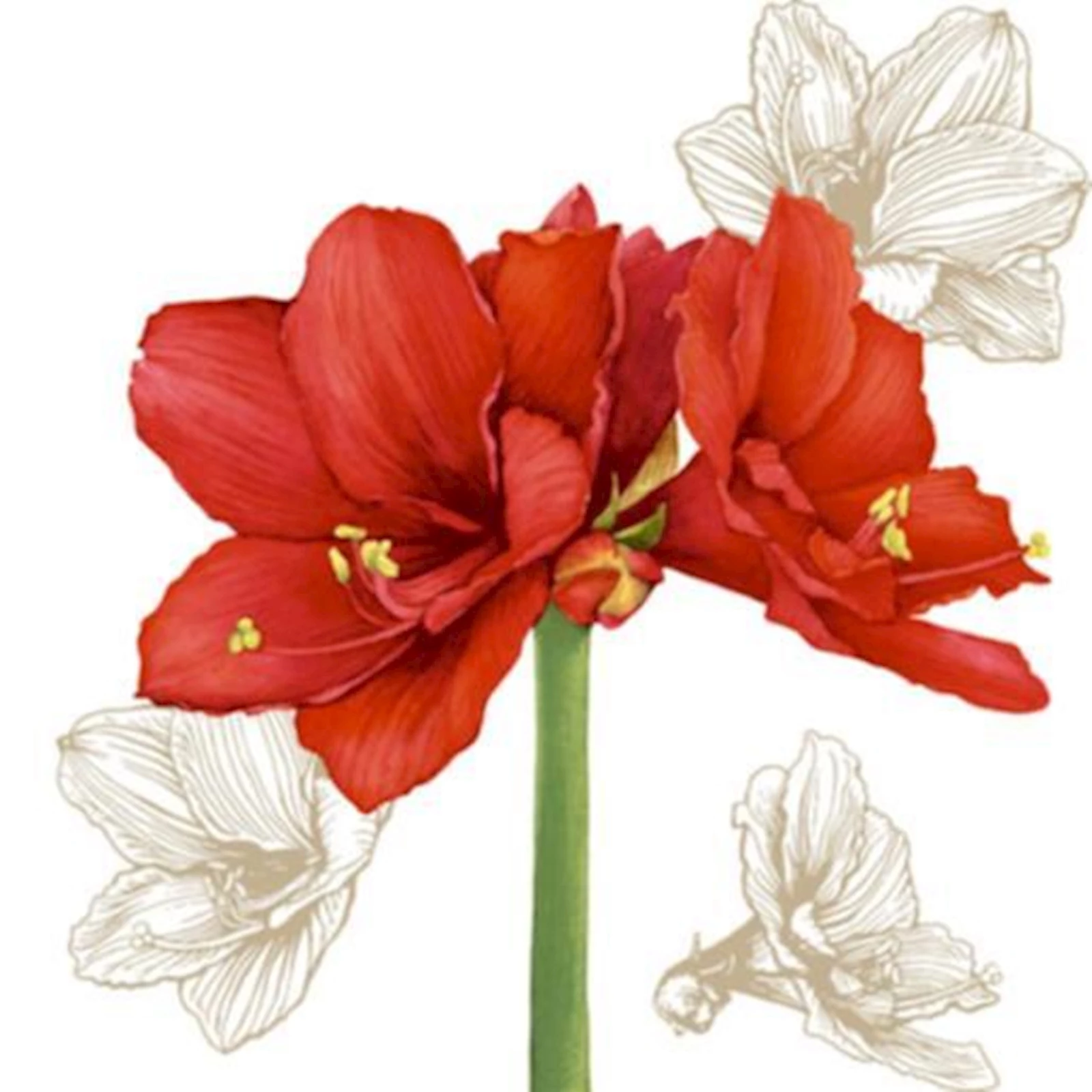 Serviettes automne rouge fleur