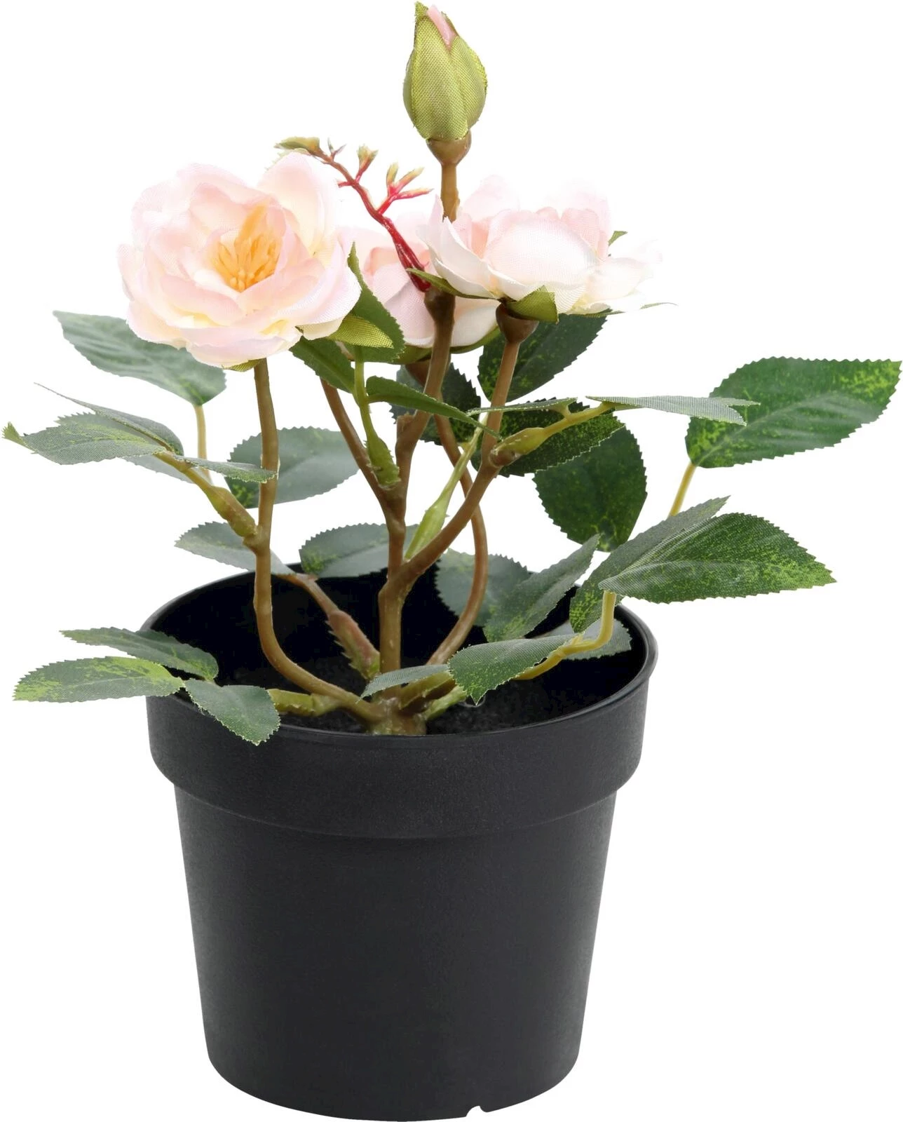 Rose rosé artificiel