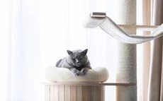 Katzenbaum selber machen