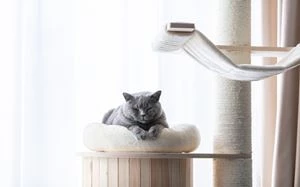 Katzenbaum selber machen