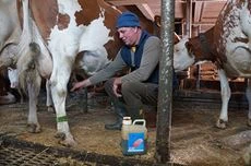 Lieblingsprodukte der Bauern