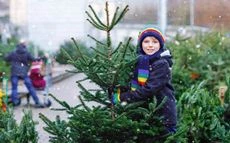 Christbäume