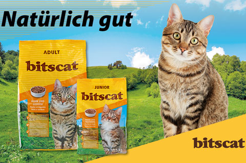 bitscat