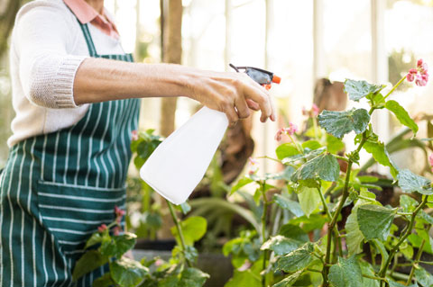 Conseiller phytosanitaire