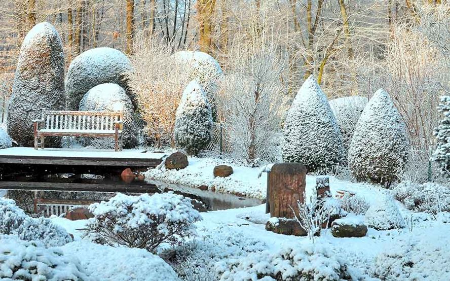 Jardin pour l'hiver - LANDI