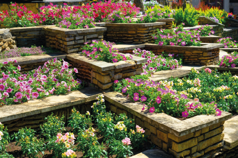 Parterre de fleurs