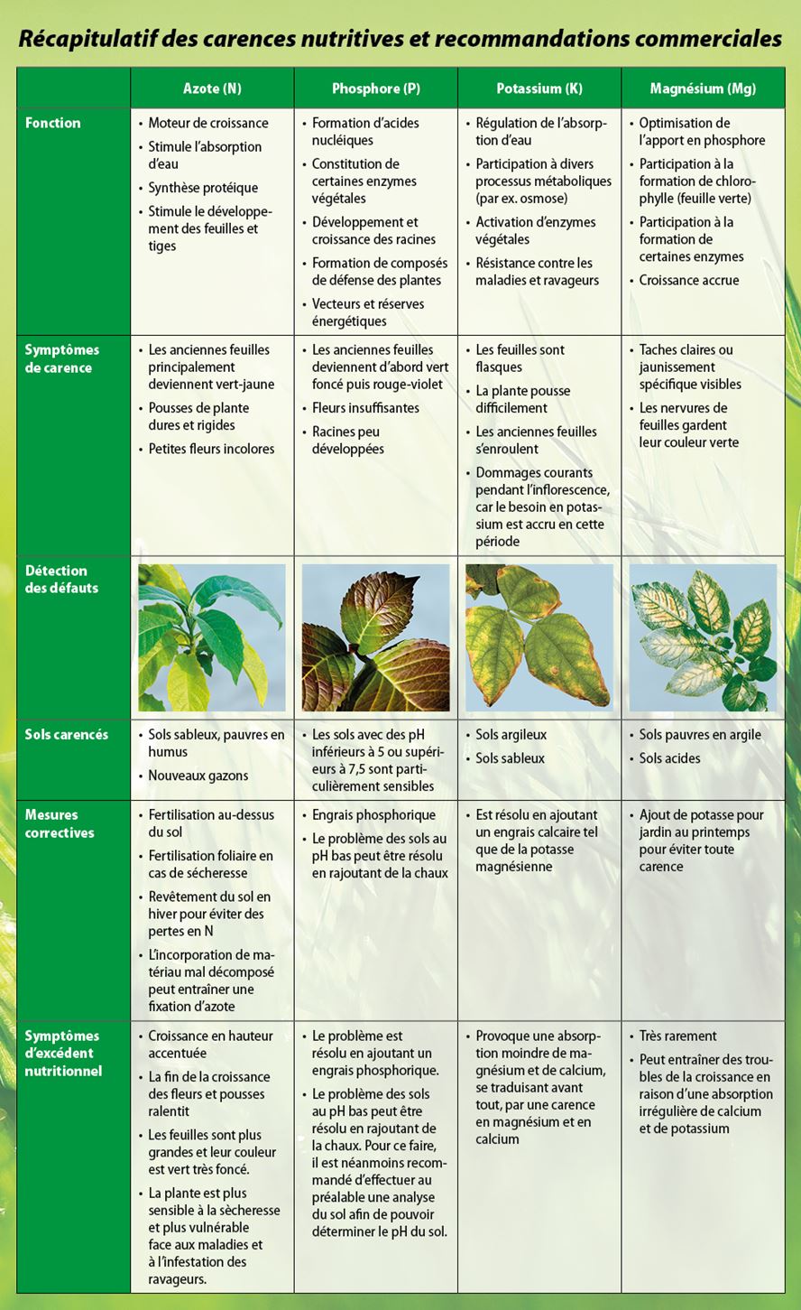 Quel engrais naturel pour les plantes vertes ? - Conseils - Tonnerre d' Engrais - engrais naturel
