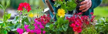 Faire fleurir votre jardin