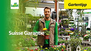 Gartentipp - Suisse Garantie