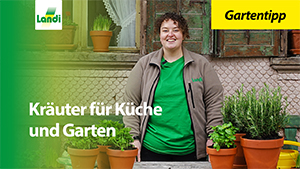 Gartentipp - Kräuter für Küche und Garten